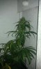IMAG0387.jpg