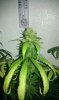 IMAG0389.jpg
