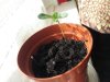 2011-06-16 16.15.13.jpg