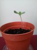 2011-06-16 19.48.16.jpg