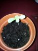 2011-06-16 19.47.51.jpg