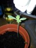 2011-06-17 18.01.47.jpg