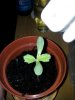 2011-06-17 18.01.59.jpg