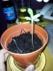 2011-06-17 18.02.05.jpg