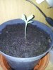 2011-06-18 18.07.49.jpg