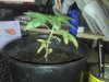 2011-06-18_16-57-24_85.jpg