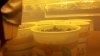 2011-06-19_01-26-07_890.jpg
