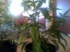 Snapshot_20110620_3.jpg
