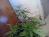 Snapshot_20110620_2.jpg