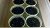2011-06-20_11-19-27_719.jpg