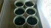 2011-06-21_20-02-15_164.jpg