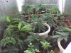 06-22-08_2135.jpg