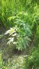 100_0750.jpg