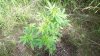 100_0756.jpg