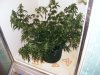 2008_06230007.JPG 2008_06230007.JPG
