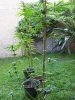 100_0278.jpg