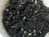 2011-06-25_15-52-07_497.jpg