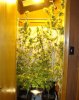 DSC02452.JPG