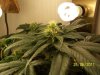 june 26 2011 005.jpg