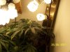 june 26 2011 001.jpg