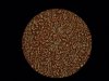 Red blood cells oil immersion.jpg Red blood cells oil immersion.jpg