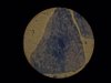 Human mouth cell MB.jpg Human mouth cell MB.jpg