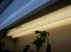 100_0756.jpg