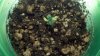 2011-06-28_17-59-07_666.jpg