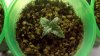 2011-06-28_17-57-19_641.jpg