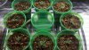 2011-06-28_17-58-39_896.jpg