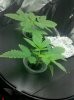 PART_1309402520471.jpg