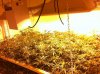 week 4 006.jpg