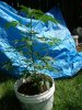 DSC03773.jpg
