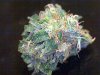 pineapple express4.jpg