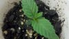 2011-07-03_10-36-37_640.jpg
