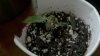 2011-07-03_10-37-51_564.jpg
