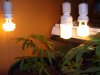 Grow Journal 008.jpg Grow Journal 008.jpg