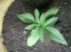2011-07-03_20.28.22.jpg