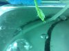 IMG_20110626_162704.jpg