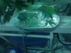 IMG_20110628_165113.jpg