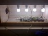 IMG-20110704-00079.jpg