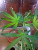 25-06-08_0805_resize.jpg