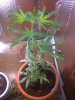 25-06-08_0806_resize.jpg
