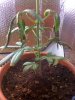 25-06-08_0807_resize.jpg