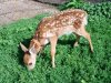 DSCF0371.jpg