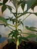 2011-07-06 12.06.54.jpg