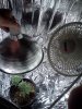 070611183306.jpg 070611183306.jpg