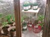 IMG00577.jpg IMG00577.jpg