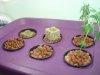 DSC03713.jpg