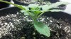 2011-07-08_15-13-39_821.jpg